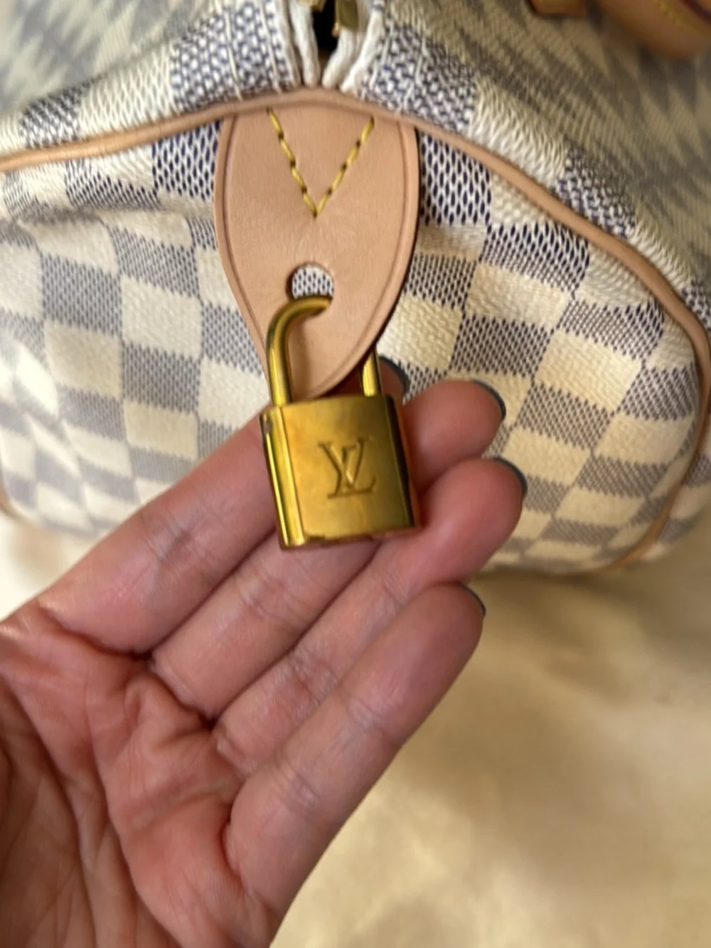 Louis Vuitton Damier Speedy 30